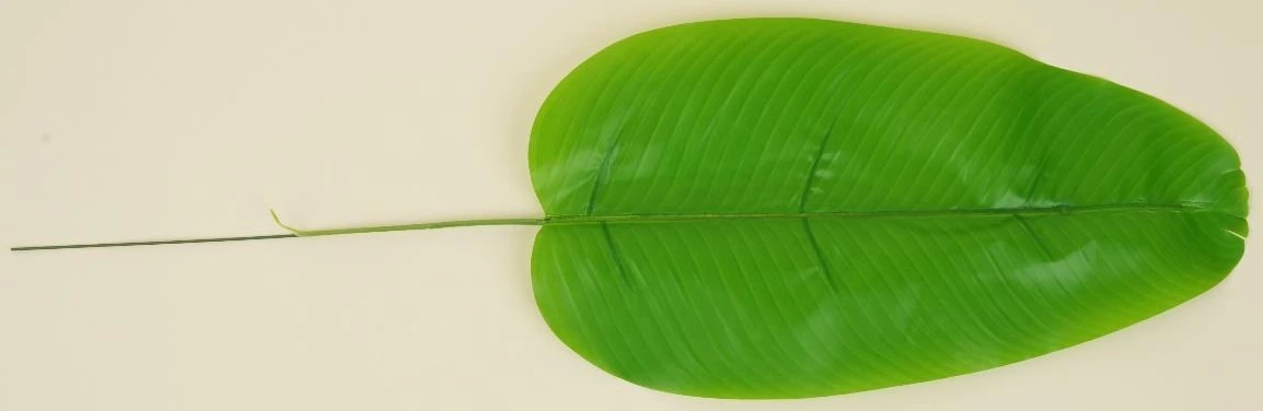 Banana Leaf Stick 64x36x18cm
